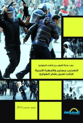 EGY Report February2013 Cover